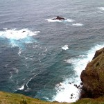 800px-Madeira_küste-Hedwig Storch